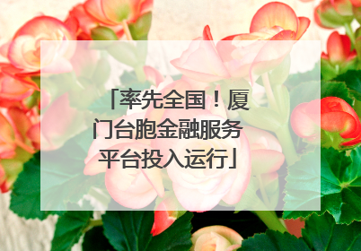 率先全国！厦门台胞金融服务平台投入运行