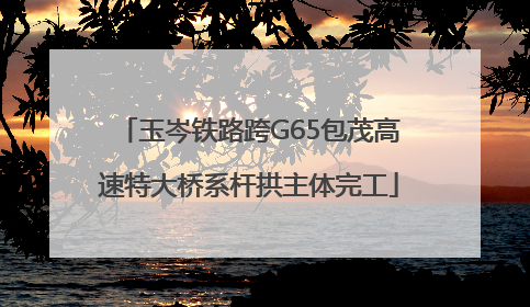 玉岑铁路跨G65包茂高速特大桥系杆拱主体完工