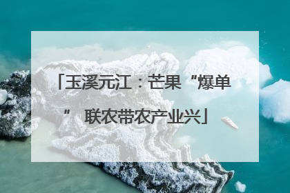 玉溪元江：芒果“爆单” 联农带农产业兴