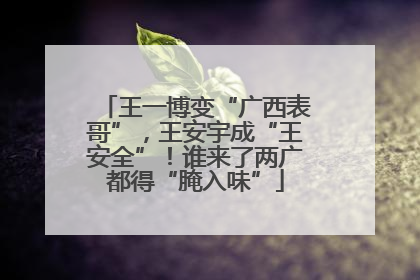 王一博变“广西表哥”，王安宇成“王安全”！谁来了两广都得“腌入味”