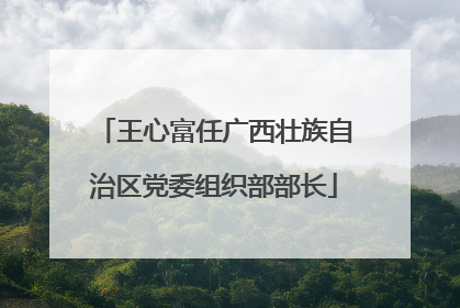 王心富任广西壮族自治区党委组织部部长