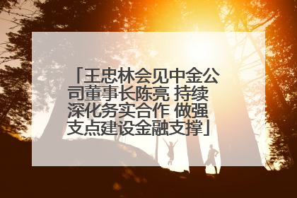 王忠林会见中金公司董事长陈亮 持续深化务实合作 做强支点建设金融支撑