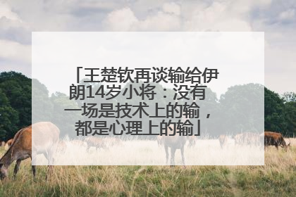 王楚钦再谈输给伊朗14岁小将：没有一场是技术上的输，都是心理上的输