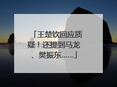 王楚钦回应质疑！还提到马龙、樊振东……