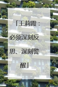 王莉霞：必须深刻反思、深刻警醒