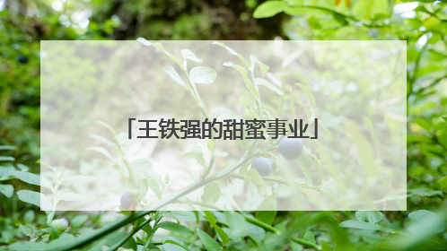 王铁强的甜蜜事业