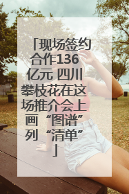 现场签约合作136亿元 四川攀枝花在这场推介会上画“图谱”列“清单”
