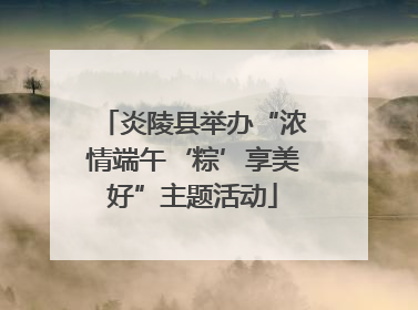 炎陵县举办“浓情端午‘粽’享美好”主题活动