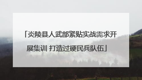 炎陵县人武部紧贴实战需求开展集训 打造过硬民兵队伍