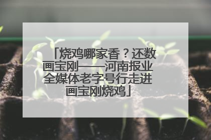 烧鸡哪家香？还数画宝刚——河南报业全媒体老字号行走进画宝刚烧鸡