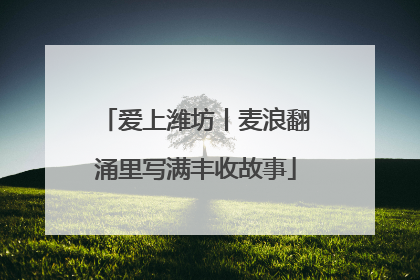 爱上潍坊丨麦浪翻涌里写满丰收故事