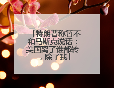 特朗普称暂不和马斯克说话：美国离了谁都转，除了我