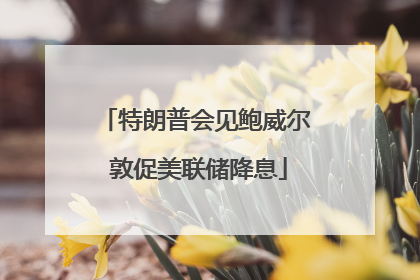 特朗普会见鲍威尔 敦促美联储降息