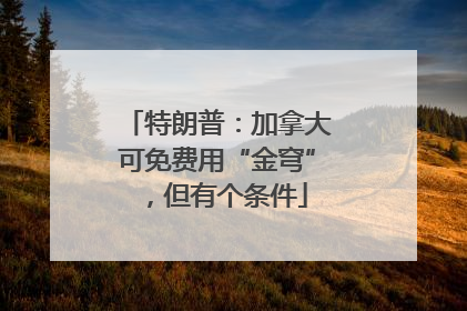 特朗普：加拿大可免费用“金穹”，但有个条件