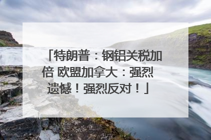 特朗普：钢铝关税加倍 欧盟加拿大：强烈遗憾！强烈反对！