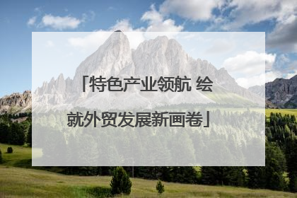 特色产业领航 绘就外贸发展新画卷