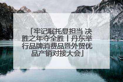 牢记嘱托显担当 决胜之年夺全胜丨丹东举行品牌消费品暨外贸优品产销对接大会