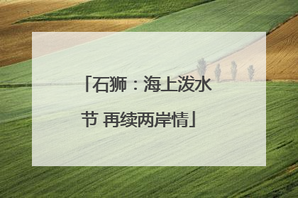 石狮：海上泼水节 再续两岸情