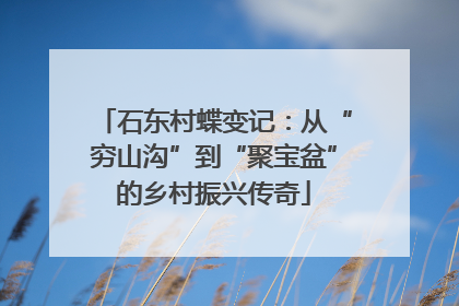 石东村蝶变记：从“穷山沟”到“聚宝盆”的乡村振兴传奇