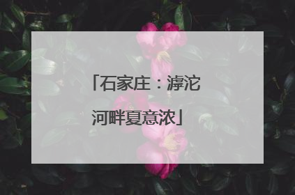 石家庄：滹沱河畔夏意浓