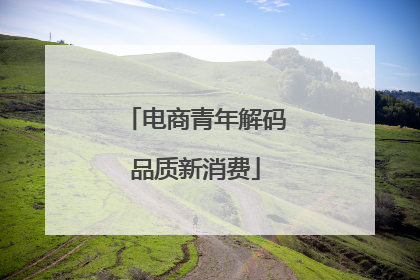 电商青年解码品质新消费