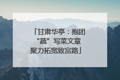 甘肃华亭：抱团“蔬”写菜文章 聚力拓宽致富路