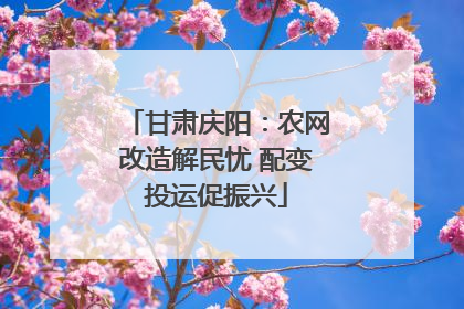 甘肃庆阳：农网改造解民忧 配变投运促振兴