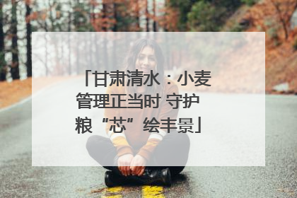 甘肃清水：小麦管理正当时 守护粮“芯”绘丰景