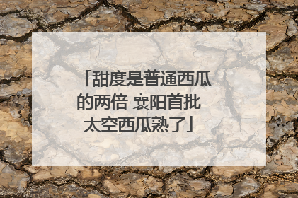 甜度是普通西瓜的两倍 襄阳首批太空西瓜熟了