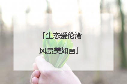 生态爱伦湾 风景美如画