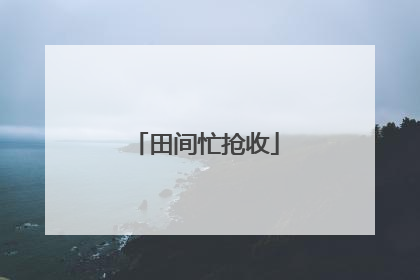 田间忙抢收