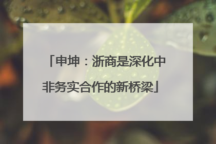 申坤：浙商是深化中非务实合作的新桥梁