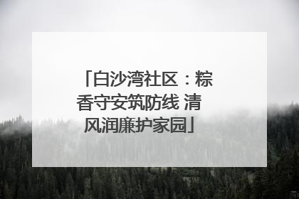 白沙湾社区：粽香守安筑防线 清风润廉护家园