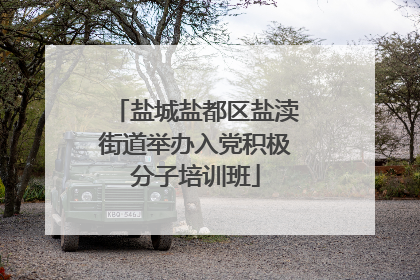 盐城盐都区盐渎街道举办入党积极分子培训班