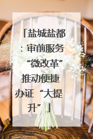 盐城盐都：审前服务“微改革” 推动便捷办证“大提升”