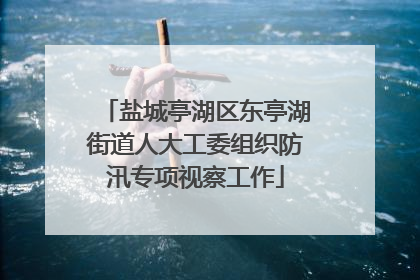 盐城亭湖区东亭湖街道人大工委组织防汛专项视察工作