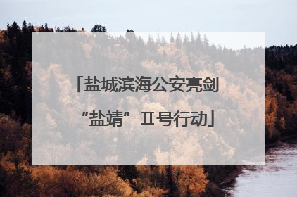 盐城滨海公安亮剑“盐靖”Ⅱ号行动
