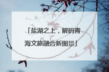 盐湖之上，解码青海文旅融合新图景