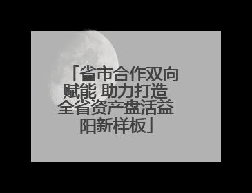 省市合作双向赋能 助力打造全省资产盘活益阳新样板