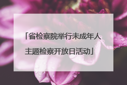 省检察院举行未成年人主题检察开放日活动