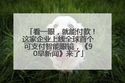看一眼，就能付款！这家企业上线全球首个可支付智能眼镜，《90早新闻》来了