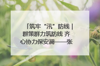 筑牢“汛”防线｜群策群力筑防线 齐心协力保安澜——张家界高新区上下众志成城迎战汛情