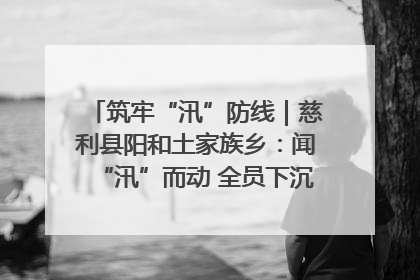 筑牢“汛”防线｜慈利县阳和土家族乡：闻“汛”而动 全员下沉筑牢防汛“安全堤”