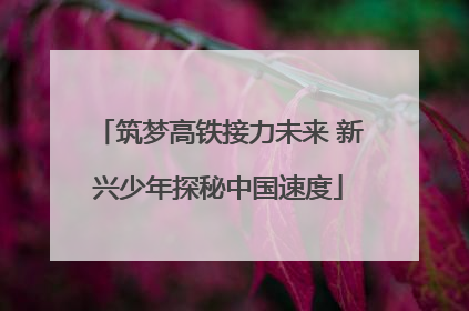 筑梦高铁接力未来 新兴少年探秘中国速度