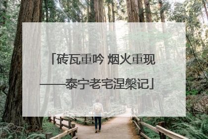 砖瓦重吟 烟火重现——泰宁老宅涅槃记