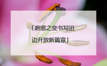 磨憨之变书写沿边开放新篇章