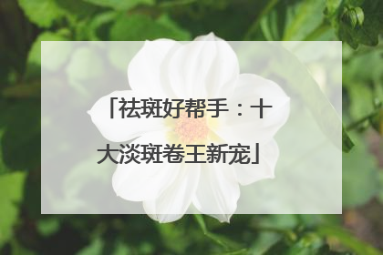 祛斑好帮手：十大淡斑卷王新宠