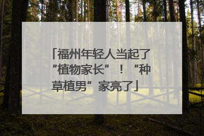 福州年轻人当起了“植物家长”！“种草植男”家亮了