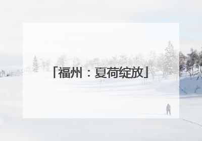 福州：夏荷绽放