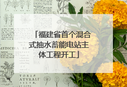 福建省首个混合式抽水蓄能电站主体工程开工